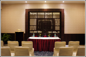 Conference Room at Hotel Surya Royal